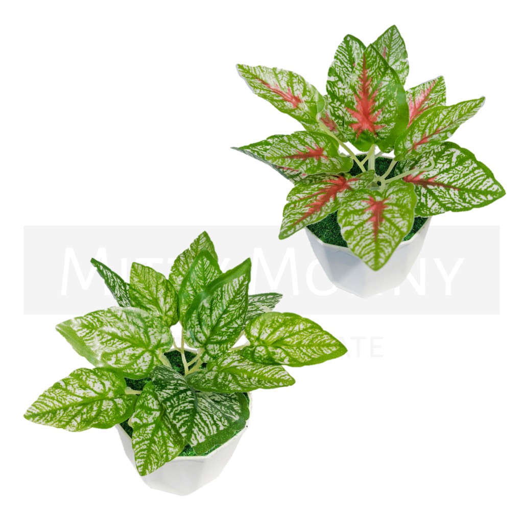 DAUN HIAS PLASTIK TANAMAN BUNGA PLASTIK BUNGA DEKORASI RUMAH TANAMAN HIAS PALSU BUNGA ARTIFICIAL