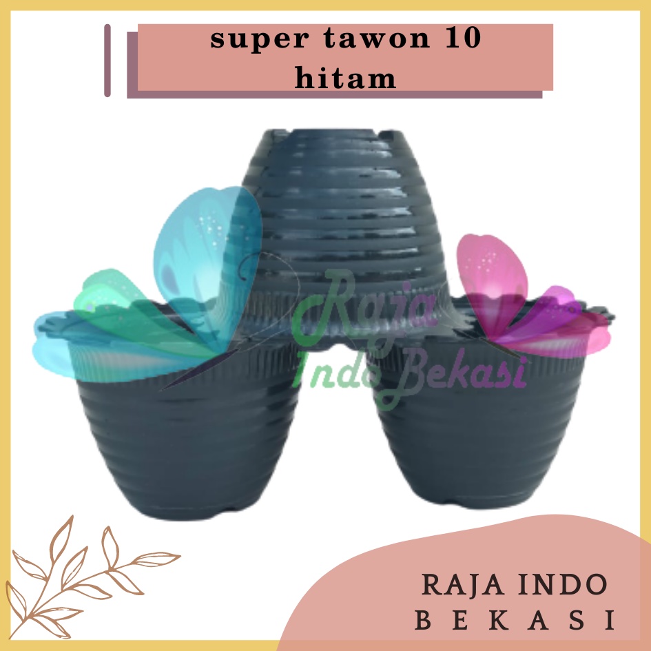 Pot Super Tawon 10 Cm Hitam By Garden Of Love Bkn Pot Tawon 10cm Lusinan Tirus Jet Putih Hitam