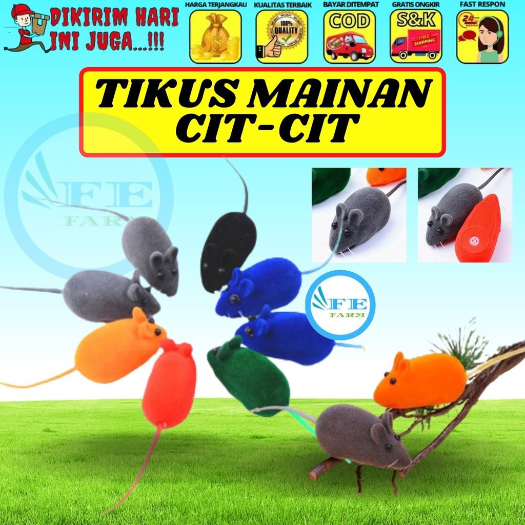 Mainan Tikus Kucing Cat Toys Bunyi Cit Cit Lucu FEFARM