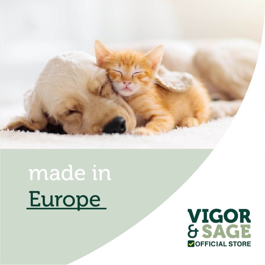 Vigor &amp; Sage Wolfberry Wellbeing Kitten 2kg Vigor Sage Kitten