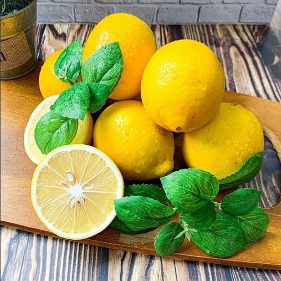 Jeruk Lemon California Sudah Berbuah / Tanaman Jeruk Lemon California Super