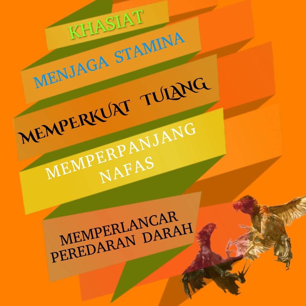 DOPING AYAM ADUAN VITAMIN BURUNG KICAU GACOR DOPPING LOMBA BERKICAU DAN LAGA