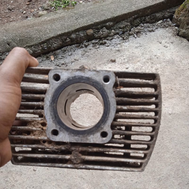 blok alfa sigma champ 00