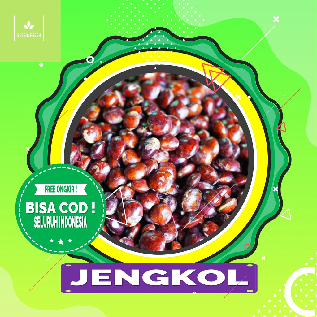 

Shesia Fresh - Jengkol Organik 250 gram