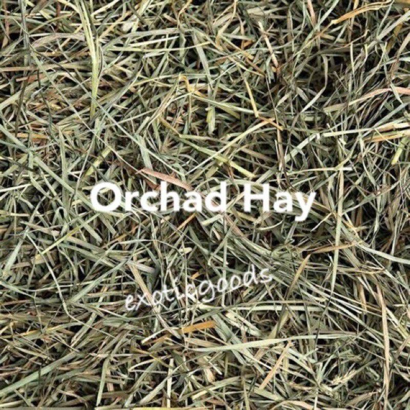 RABBIT HOLE HAY 500g RHH TIMOTY HAY RHH TIMOTY 2nd RHH ALFA ALFA RHH ORCHAD