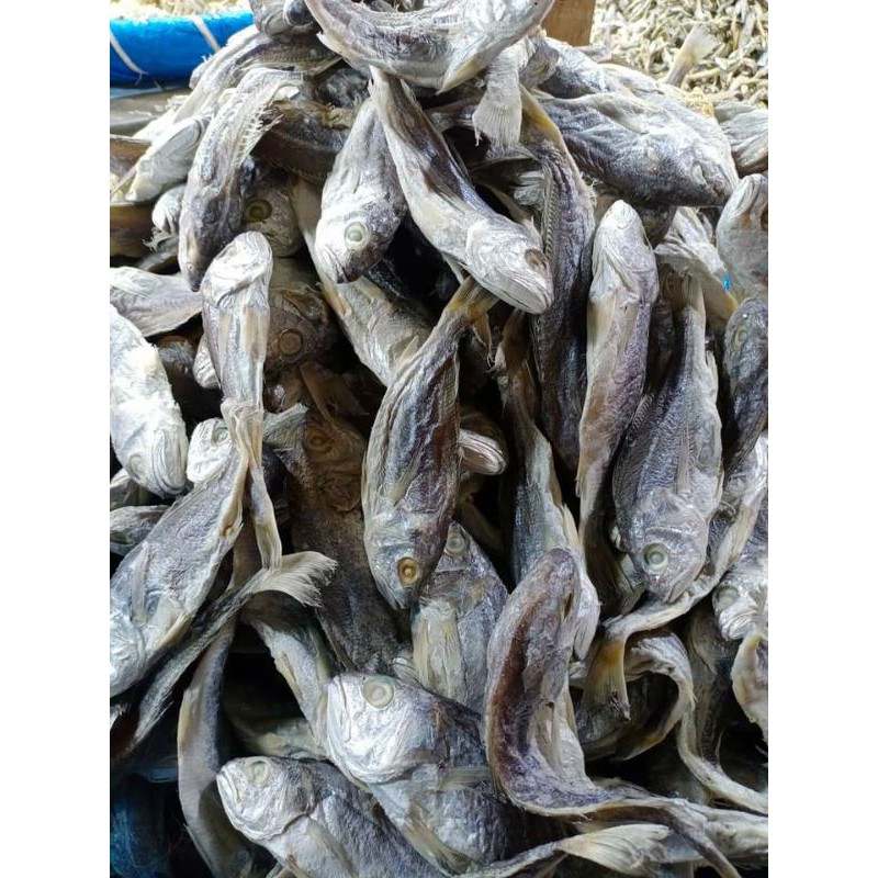 

Ikan Asin Kepala Batu 500gram Asli dari Medan