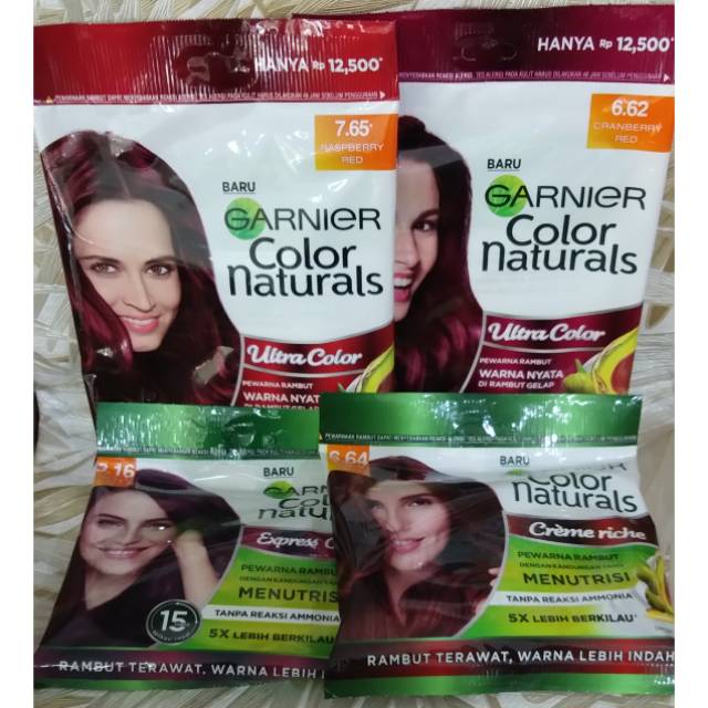 Garnier cat rambut sachet
