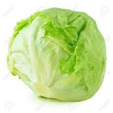 

SAYUR-LETUS-LETUCE