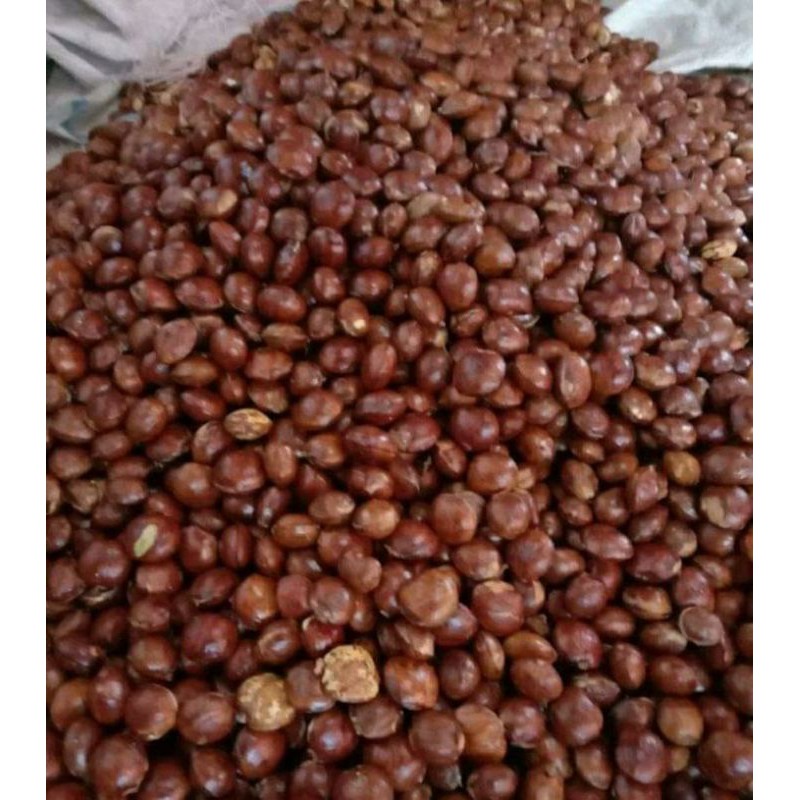 

Jengkol 250 Gr