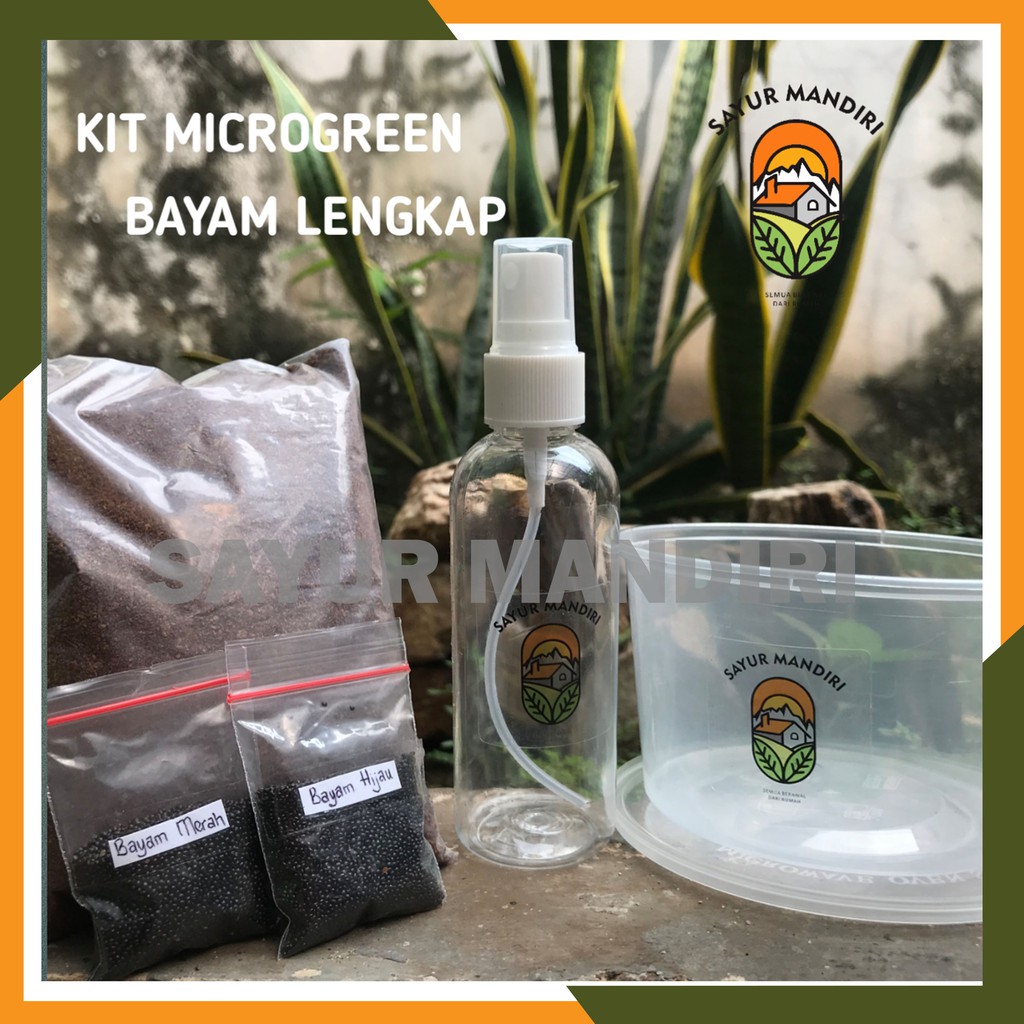 Kit Microgreen Bayam Lengkap