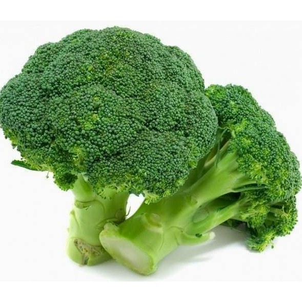 (Isi 10 Biji) Benih Brokoli Pabrikan Murah Berkualitas / Repack Panah Merah