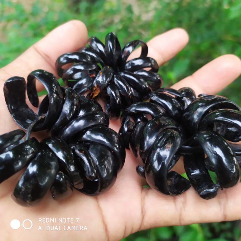 cincin bahar hitam