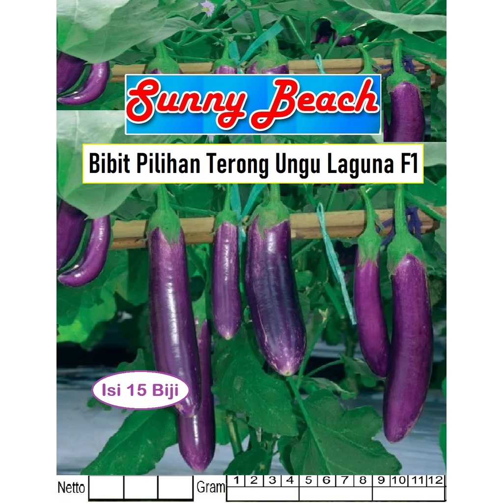 Bibit Pilihan Terong Ungu Laguna F1|Benih Terong Laguna Ungu Panjang