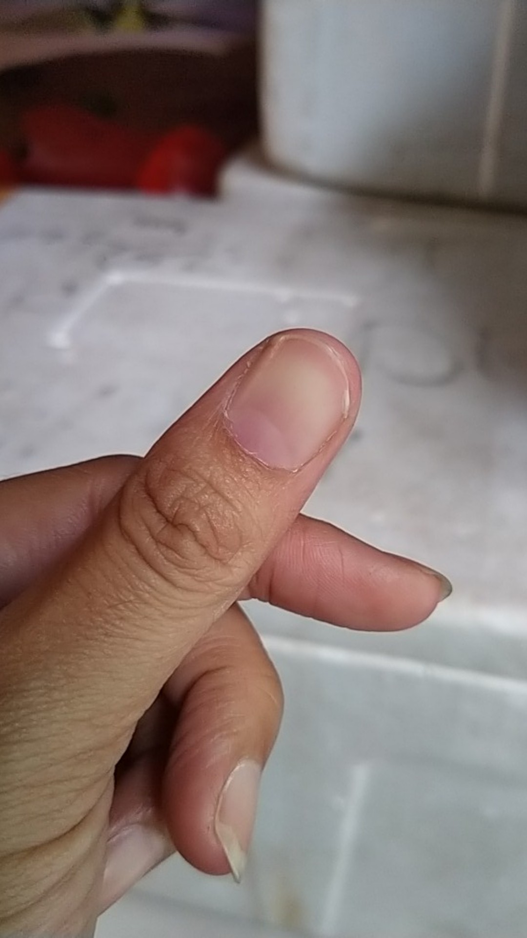 Paper Bowl 20oz Paper Bowl Sup 600ml Termasuk Tutup / Mangkok Kertas 600ml