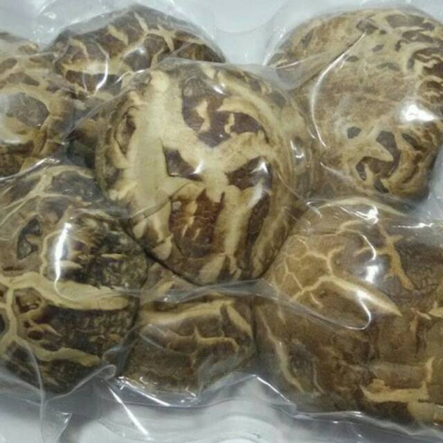 Jamur hioko kering
