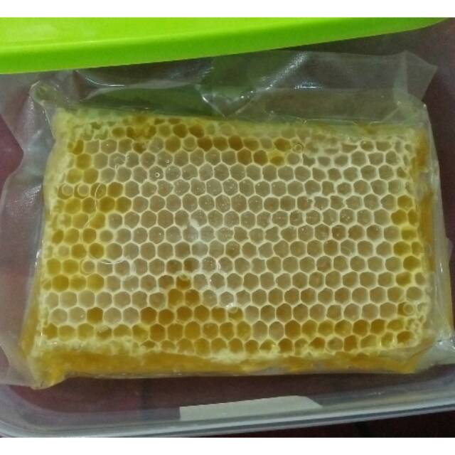 

Sarang Madu Asli