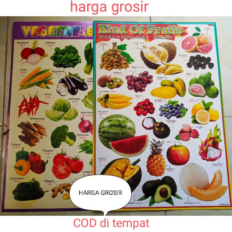 POSTER BUAH DAN SAYURAN (grosir)