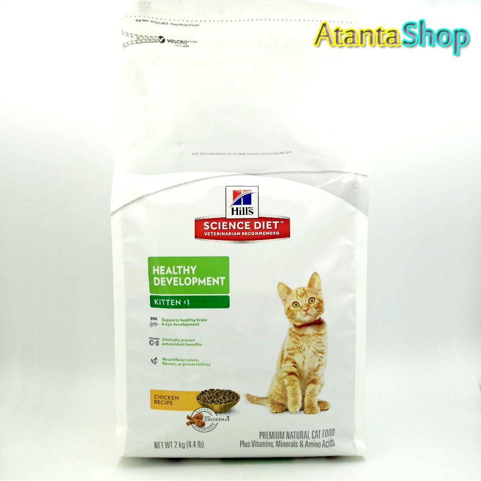 hills kitten dry food