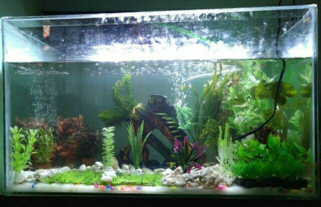 Super Cleaner Bubuk Pembersih Serba Guna