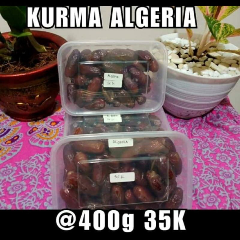 

kurma algeria