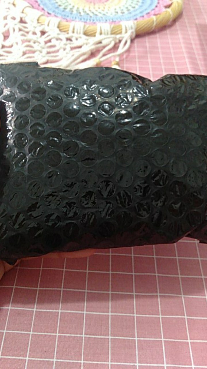 Pinecone / Pinus Kecil