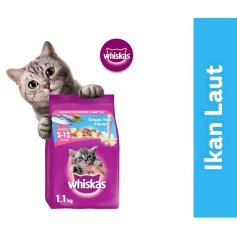 Whiskas Junior Dry food 1,1 kg