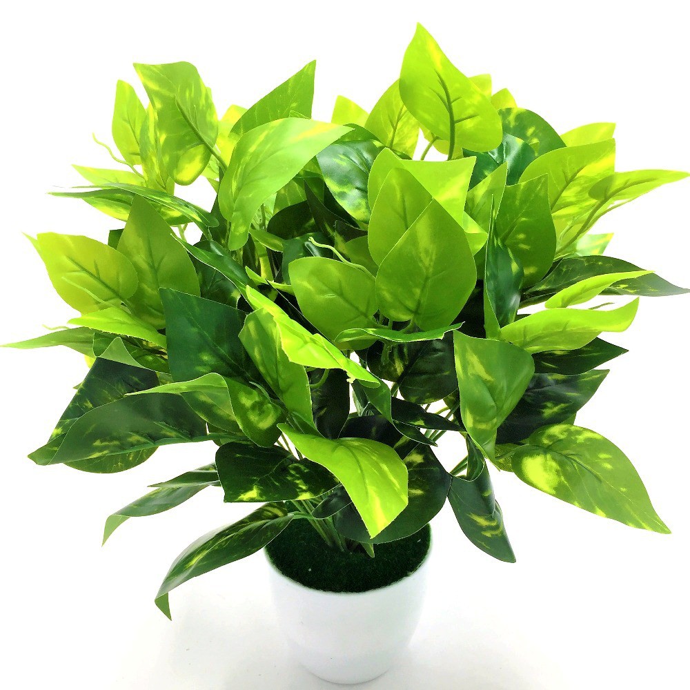 Naindo Bunga Daun Bonsai dengan pot hiasan ruang tamu dan kantor