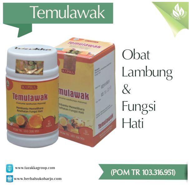 Obat Nyeri Lambung Alami Maag Dan Liver Dengan Herbal Temulawak Tazakka Murah Aman Halal Shopee Indonesia