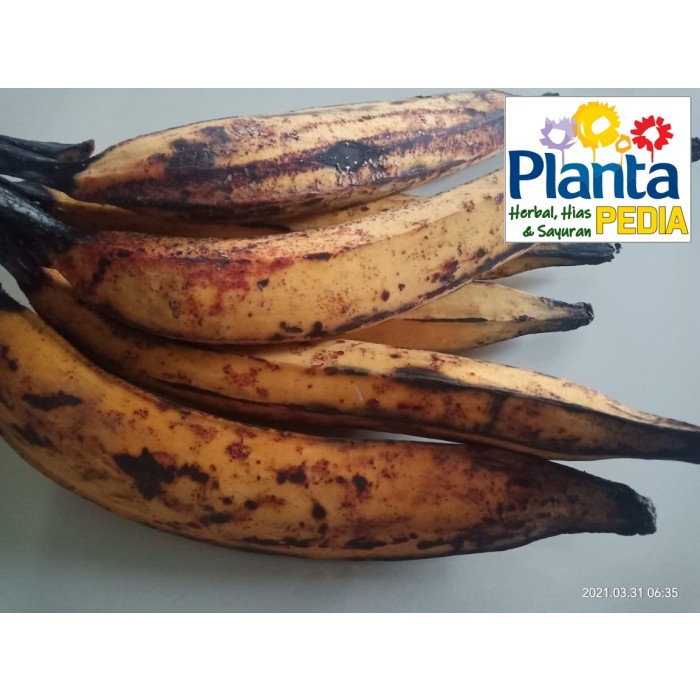 

BUAH PISANG TANDUK GALEK SEGAR MANIS MERAH PULEN ASLI SUKABUMI SELATAN