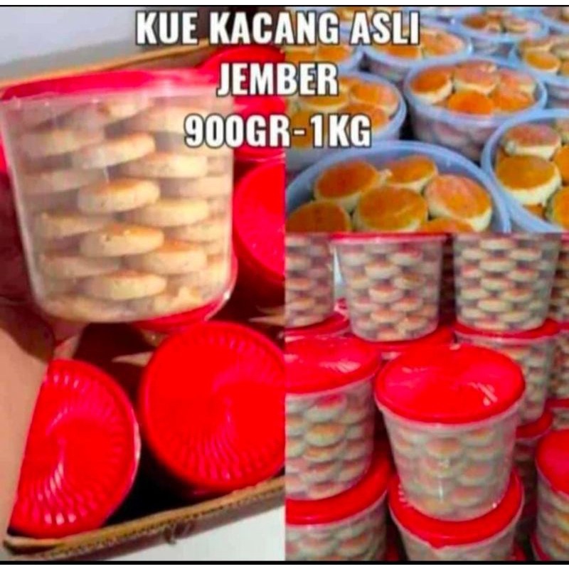 

kucang jember