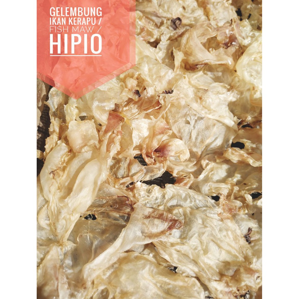 Gelembung Ikan Kerapu Perut Ikan Hipio Fishmaw 1kg kualitas grade A