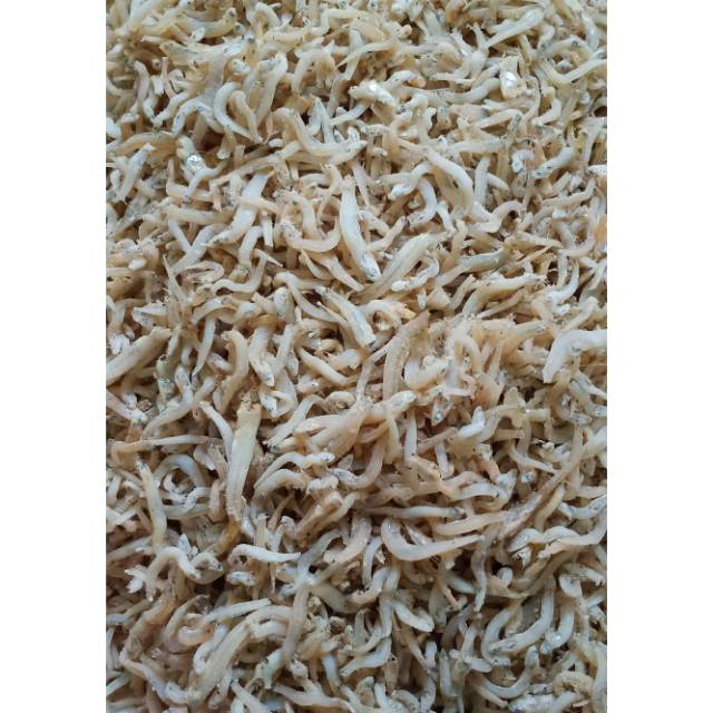 

Ikan teri nasi medan