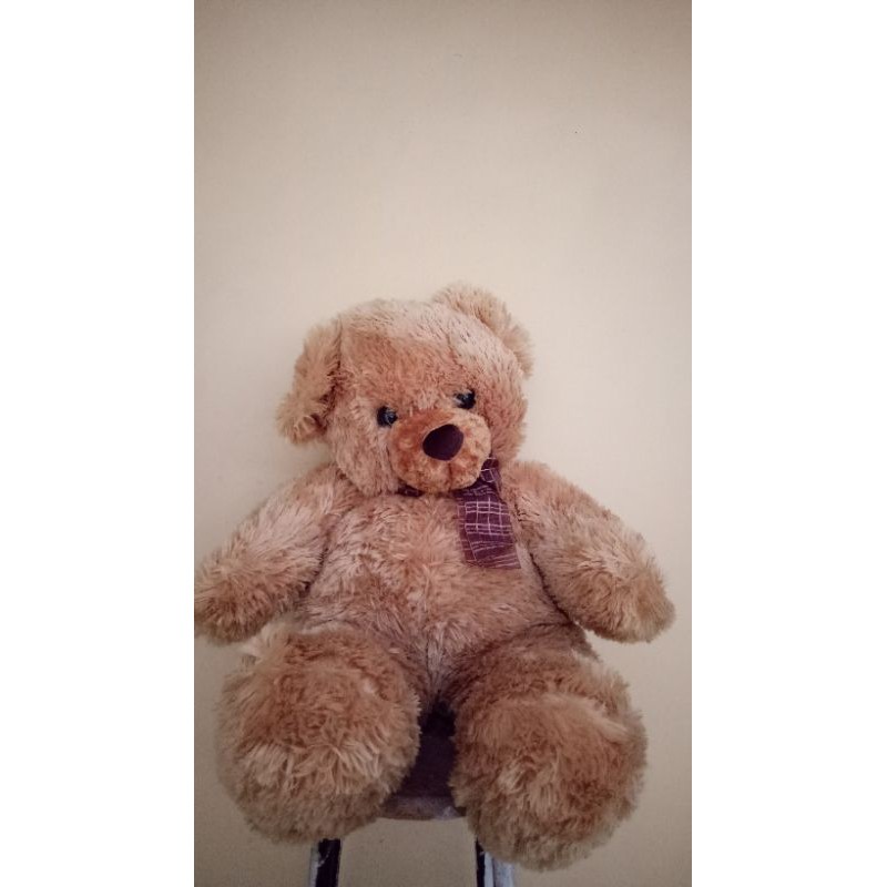 teddy bear/ boneka beruang besar