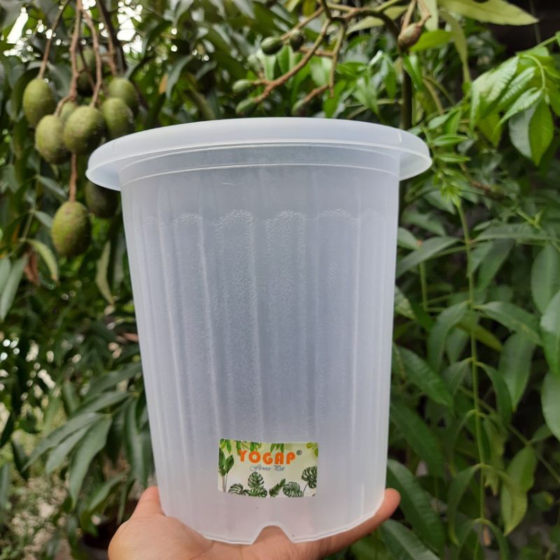 Pot Yogap YPT 15 Bening Transparan / Pot Tanaman