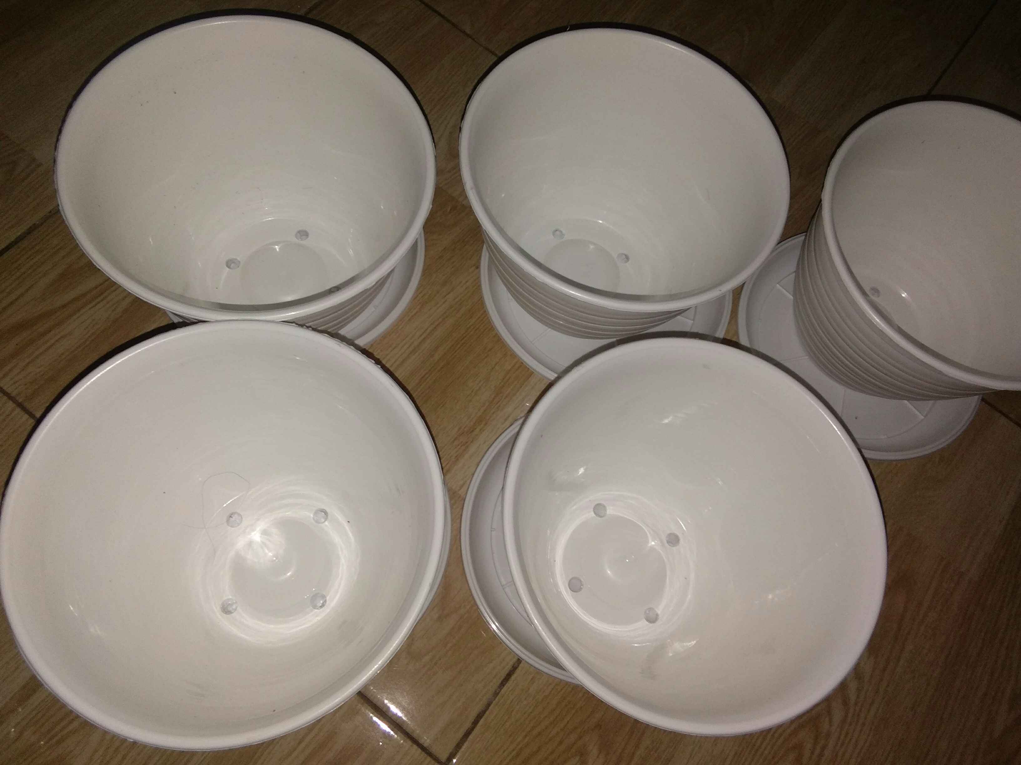 Pot Bunga Tanaman Tawon Putih 18cm +tatakan Bawah