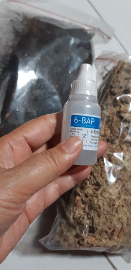 Fungisida Antracol 70wp  100 Gram