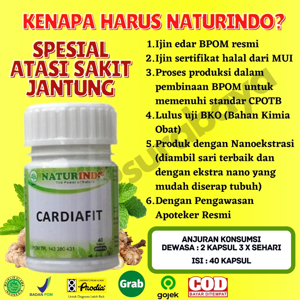 Obat Jantung Koroner Obat Jantung Lemah Telapak Tangan Berkeringat Obat Jantung Herbal Jamu Jantung Sesak Nafas Obat Herbal Perawatan Jantung Jantung sering Berdebar Nyeri Dada sebelah Kiri Tradisional BPOM CARDIAFIT Naturindo Surabaya-7