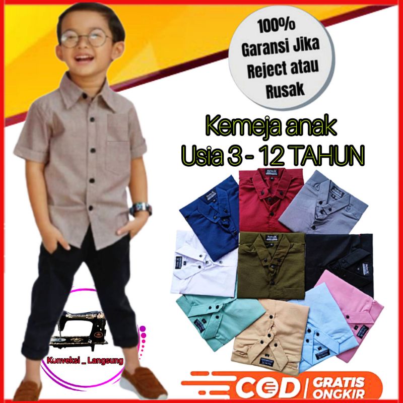 KEMEJA POLOS ANAK LAKI LAKI UMUR 3 4 5 6 7 8 9 10 11 12 TAHUN PREMIUM QUALITY BAJU ANAK LAKI LAKI LE