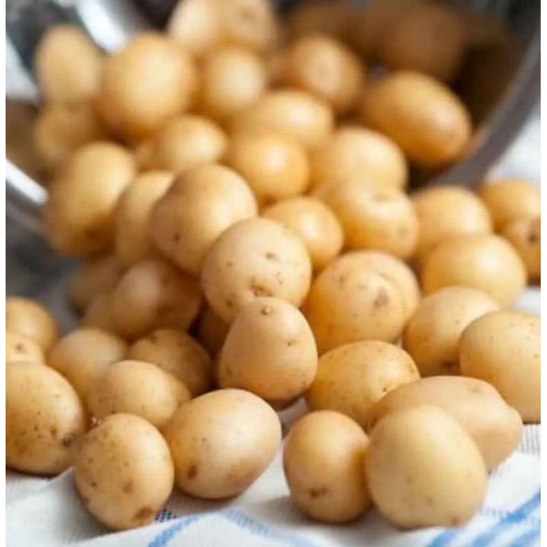 

Baby potato / Kentang rendang