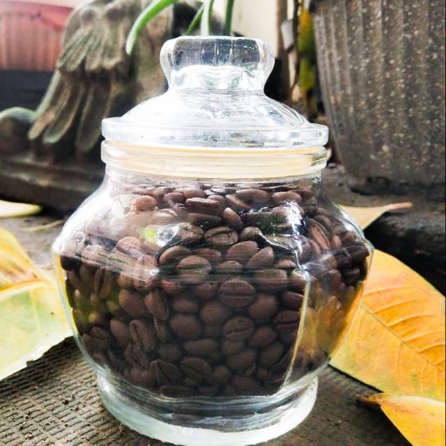 

Robusta Batang Honey Process 200g (ROASTBEAN)