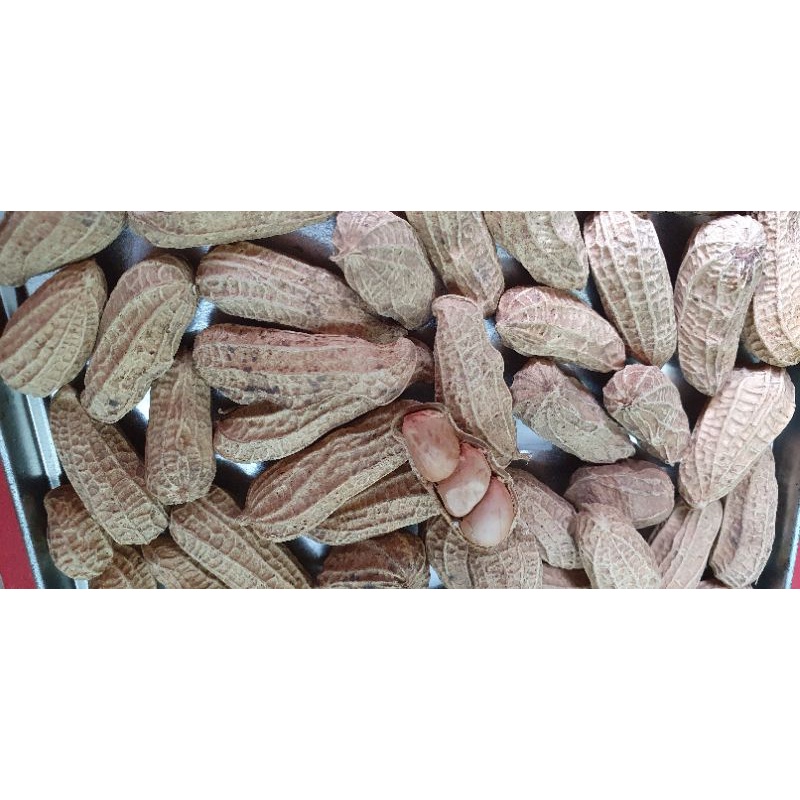 

KACANG KULIT SANGRAI - 250 GRAM