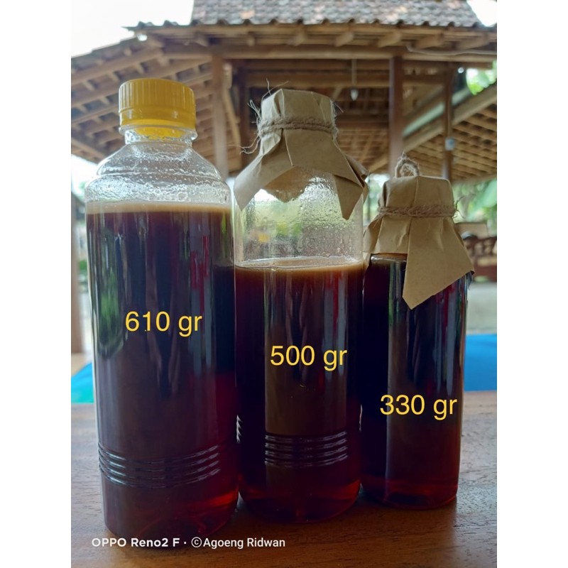 

madu hutan asli barokatul ittiba