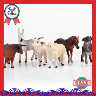 720 Gambar Hewan Ternak Domba Gratis Terbaik