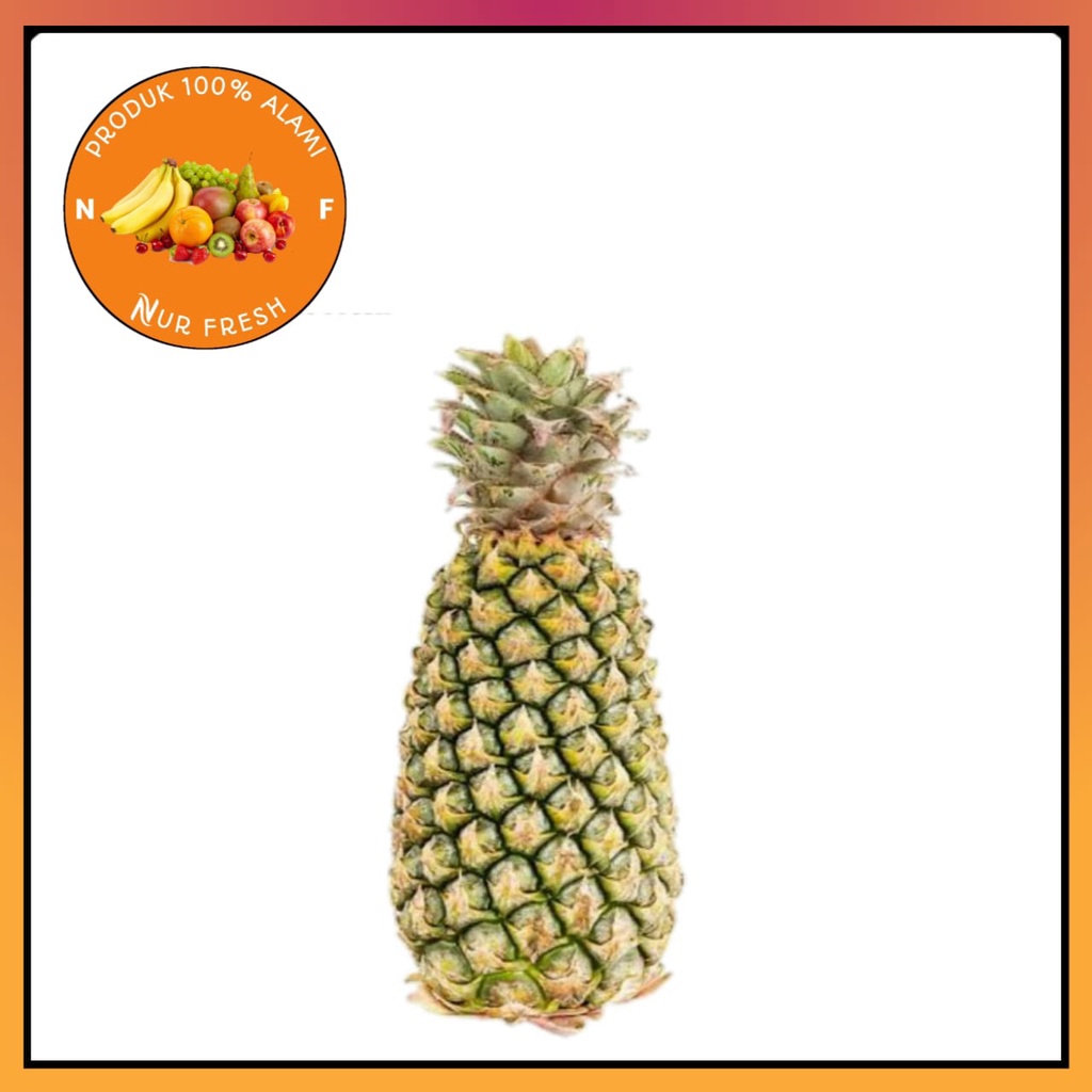 

Buah nanas palembang murah berkualitas