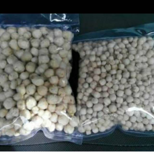 

Pilus khas tegal