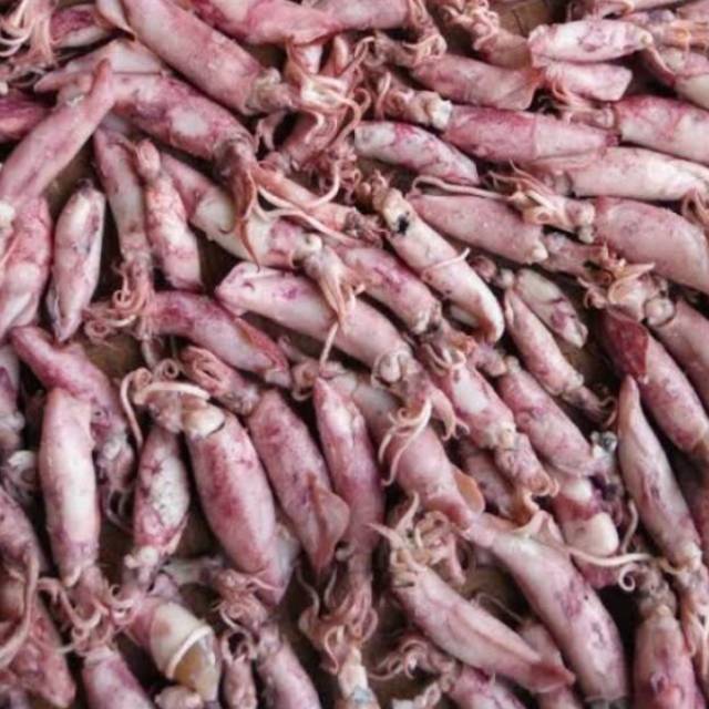

CUMI ASIN KILOAN KUALITAS SUPER