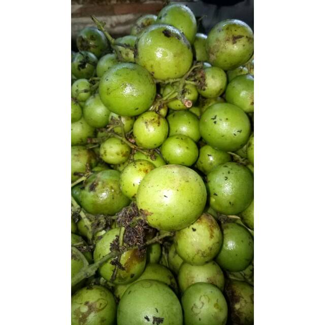 

BUAH LANGKA GANDARIA/JATAKE 500gr
