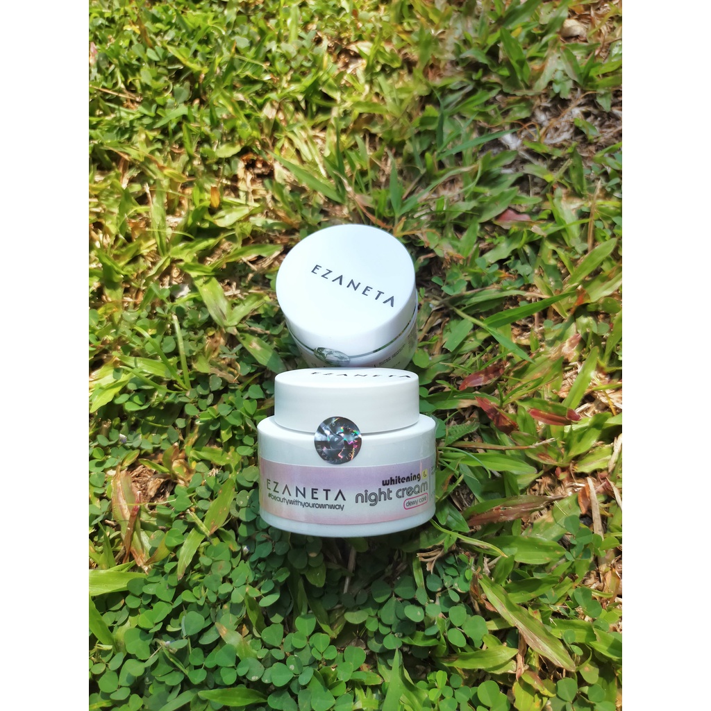 NIGHT CREAM EZANETA SKINCARE BPOM GLOWING CREAM PEMUTIH WAJAH BPOM EZANETA PAKET KRIM PEMUTIH WAJAH 