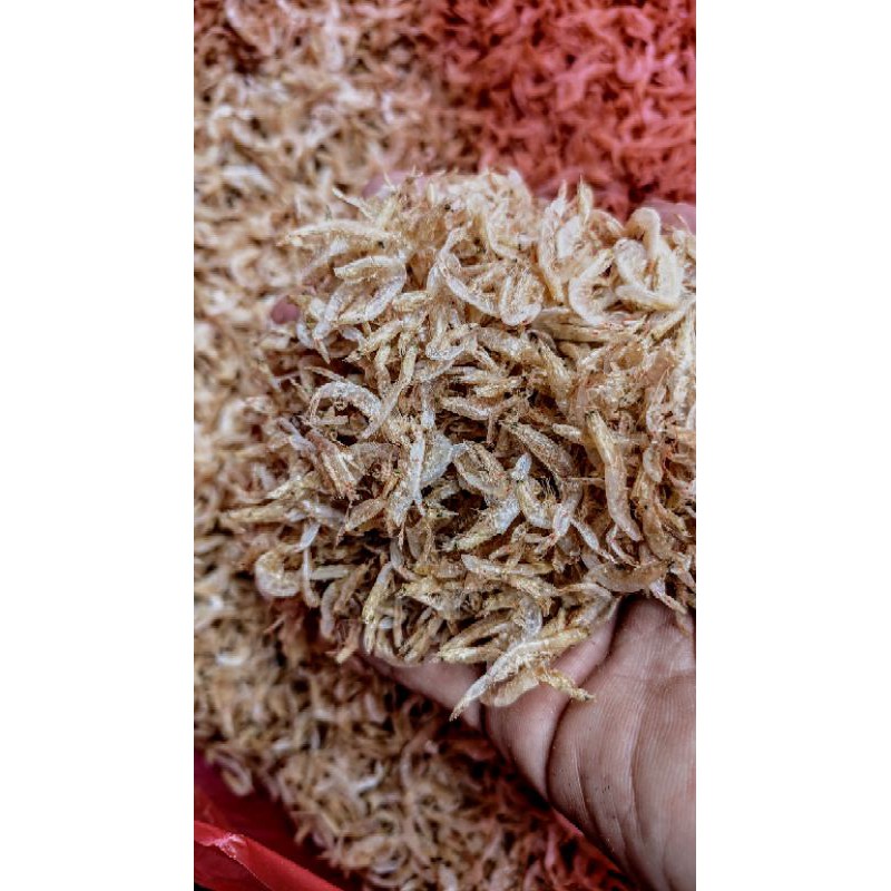 

udang rebon super 1000gr
