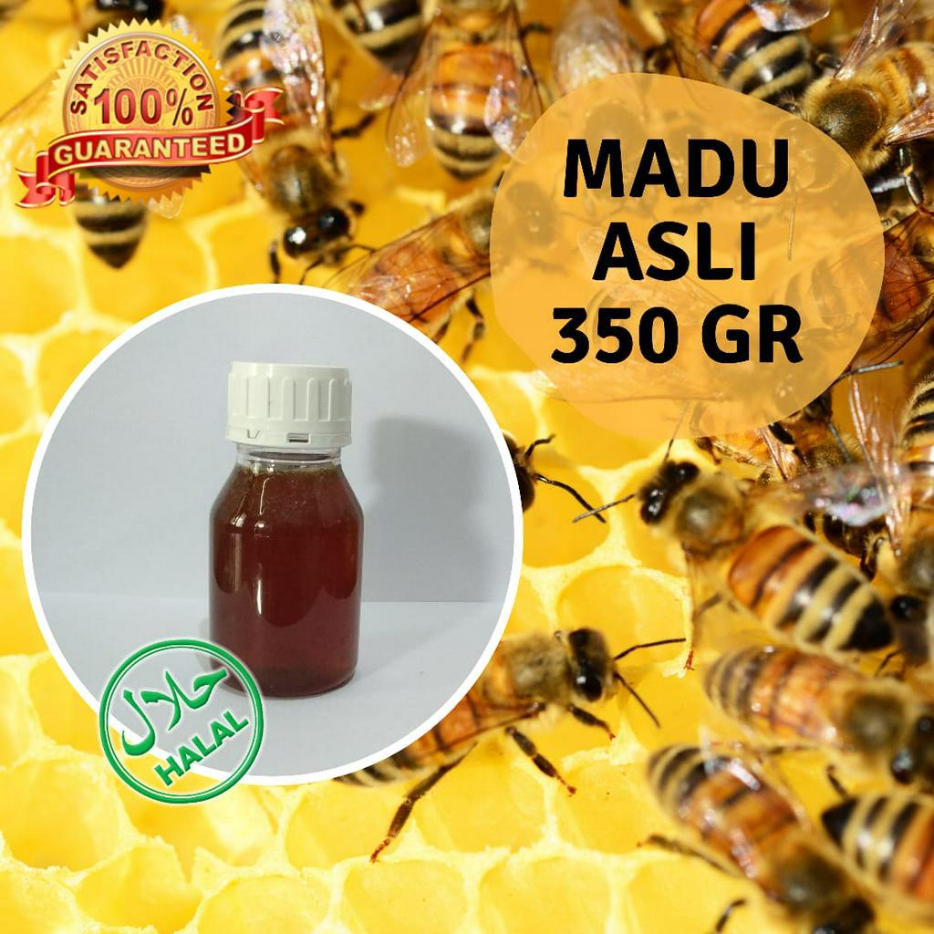 

Madu Asli Murni 350 Gram Bunga Randu Malang Top DJM